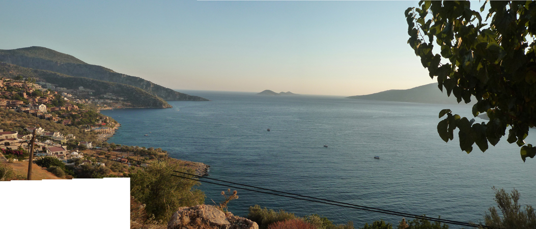 View Panoramic